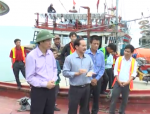 Video: Dự án lắp đặt hệ thống đèn LED cho các tàu đánh bắt xa bờ tại Quảng Trị