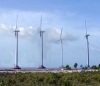 VND70,000 billion Invested in Wind Power Plant in Ca Mau